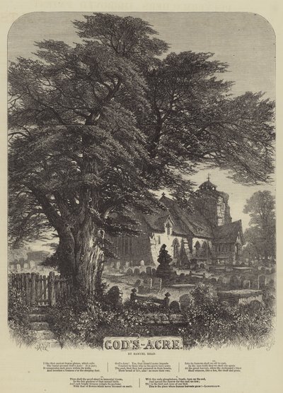 El Campo de Dios de Samuel Read